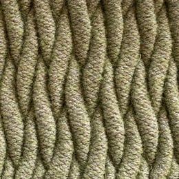 slumber-casalis-aleksandragaca-algae-sample-2022